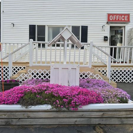 Knotty Pine Motel Salisbury Kültér fotó