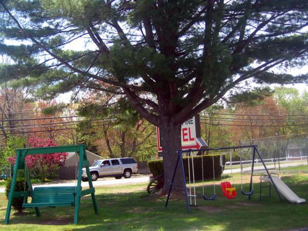 Knotty Pine Motel Salisbury Kültér fotó